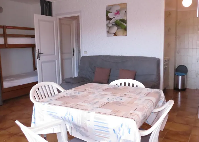 Climatise 2 Pieces Proche Plage, Parking, Animaux Acceptes - - Fr-1-780-19