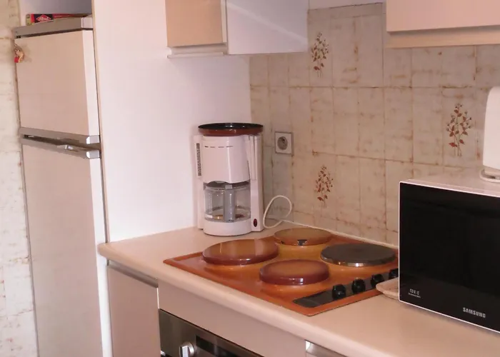 Climatise 2 Pieces Proche Plage, Parking, Animaux Acceptes - - Fr-1-780-19 Apartament